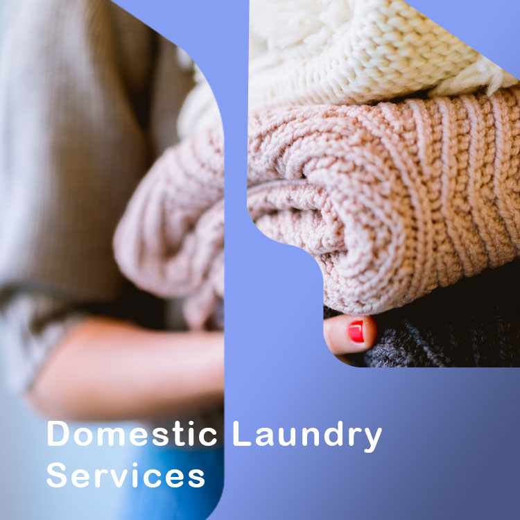 Domestic Laundry